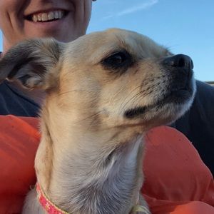 Meet your Posher, Kirk